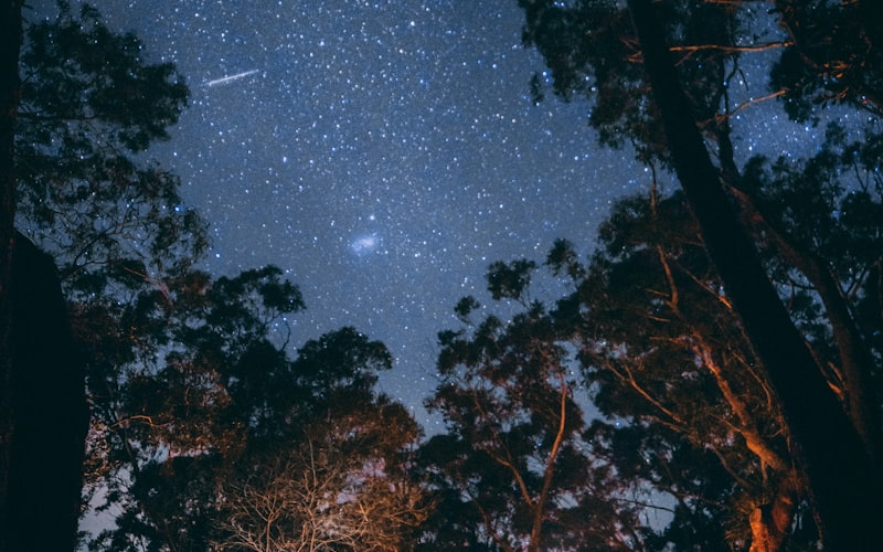 高海拔登山杖 - 碳纤维材质，承重达2000kg，可调节长度适应不同地形
