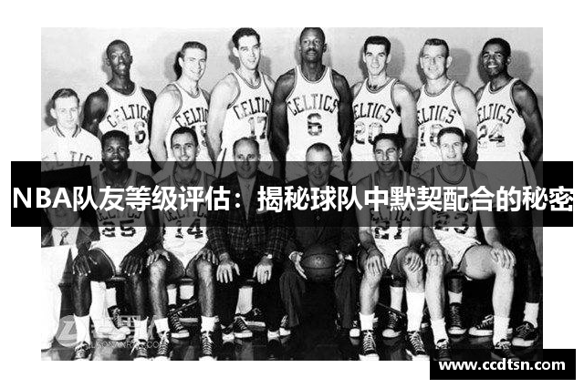 NBA队友等级评估：揭秘球队中默契配合的秘密