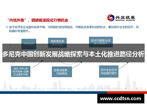 多尼克中国创新发展战略探索与本土化推进路径分析